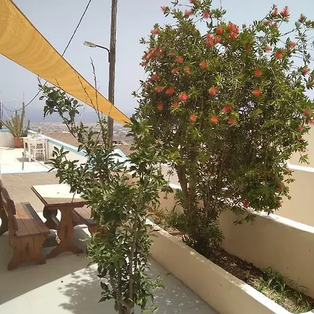 The Garden View
