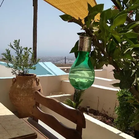 The Garden View *